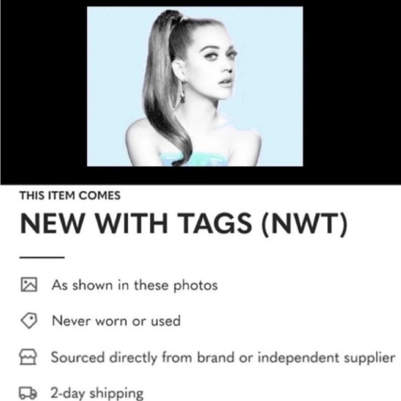 Eileen Fisher VINTAGE Top Jersey Ballet Neck XSmall 2 4 Bark Notched Hem NWT - Picture 12 of 12